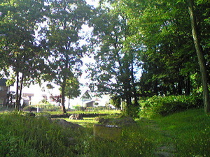 2356「丸山公園池」