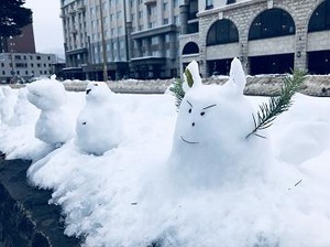 北海道からの便り