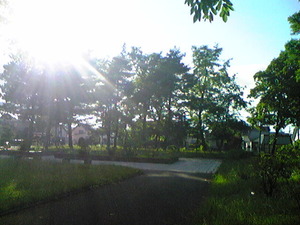 2356「丸山公園まえ」