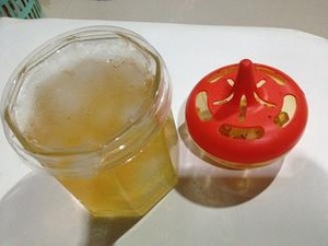 蓋をしても進入してくるコバエ