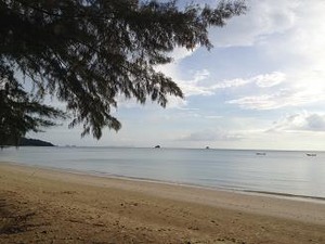 海 左