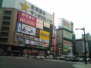 2363「ススキの昼間