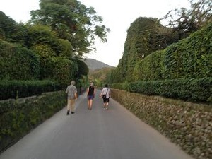 庭園を歩く