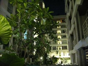 広い庭園