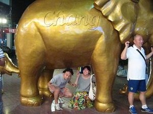 象を潜ると子宝に恵まれる