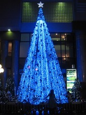 2580X'masツリー