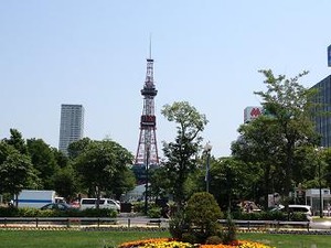 札幌に夏が来た