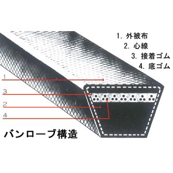 mono00276674-3