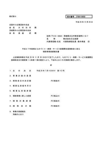 補助事業実績報告書_修正版