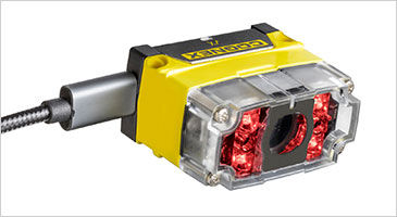 DM70-straightcord-lights