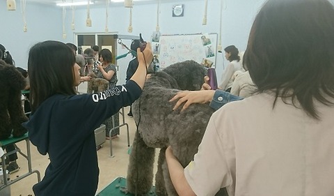 20180617_180617_0038