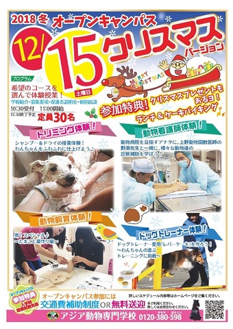 design12月