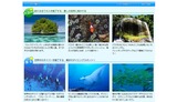 パラオ海