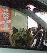 a509e233.jpg