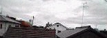 050705-1910.jpg