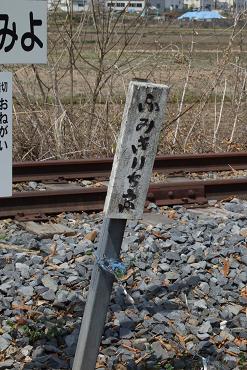 DSCF00555555
