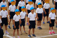 BlogPaint