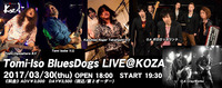 30 Tomi-Iso BluesDogs