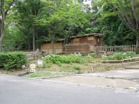 DSCN3606-2