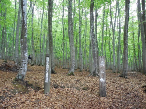 DSCN5541-3