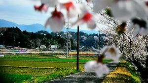 IMG_20180401_201346_