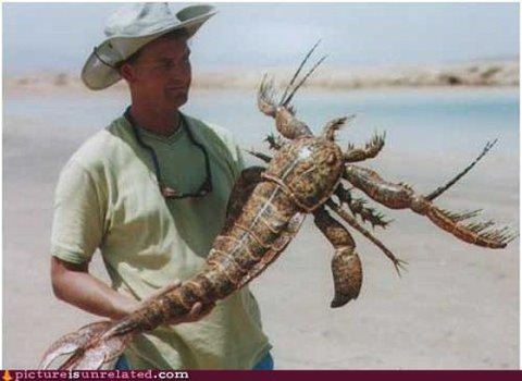 wtf_pictures_compilation_640_02