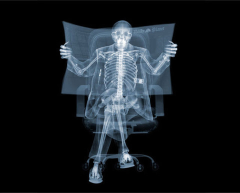 amazing_xray_artwork_640_37