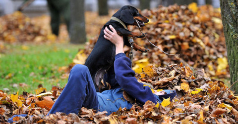 amazing_autumn_640_26