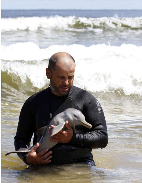 endless_cuteness_a_man_nursing_a_little_dolphin_640_high_03