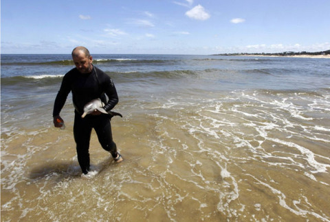 endless_cuteness_a_man_nursing_a_little_dolphin_640_06