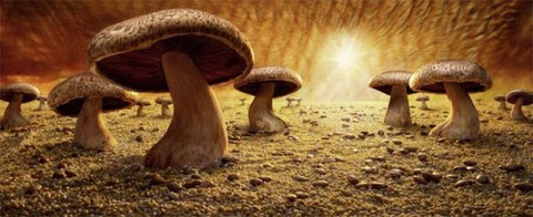 wonderful_foodscapes_640_07