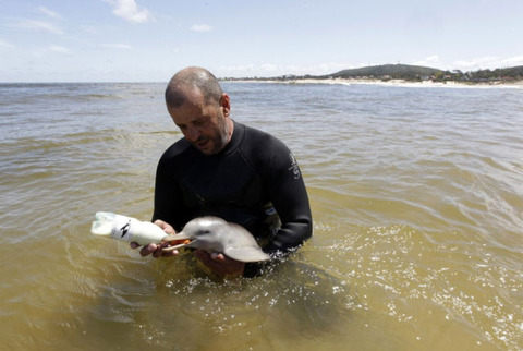 endless_cuteness_a_man_nursing_a_little_dolphin_640_08