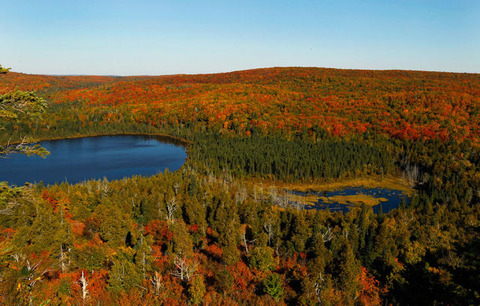 amazing_autumn_640_03