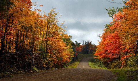 amazing_autumn_640_11