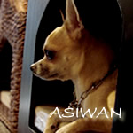 ASIWAN