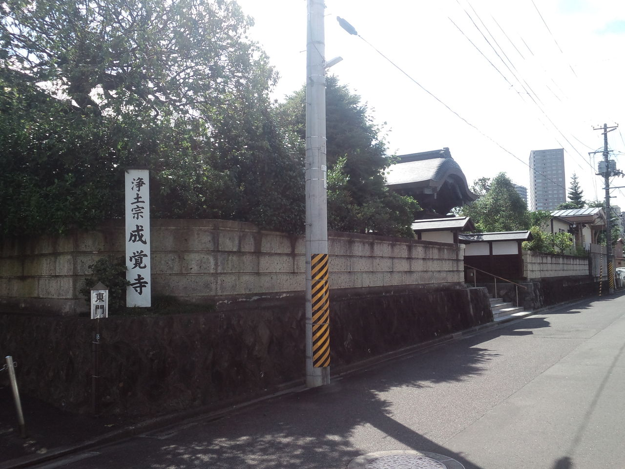 PAP_1546