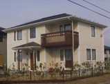 模型(本物)