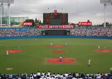 baseball11