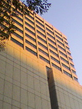 03bc9e20.jpg