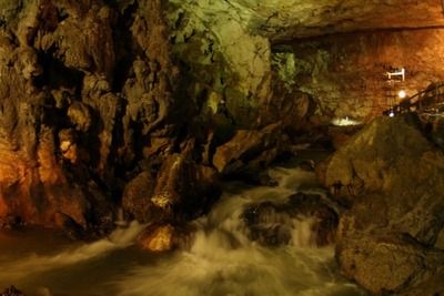 タイの子供たちが助かったのは良かったと思うけど