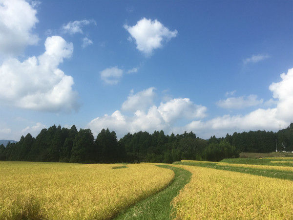 写真 2016-09-09 14 47 09