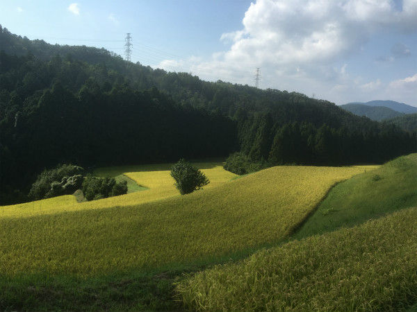 写真 2016-09-09 14 50 36