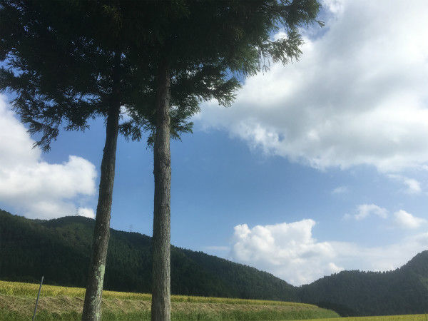 写真 2016-09-09 14 54 50