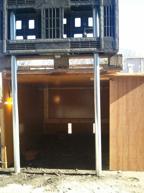 2011-01-17 123410
