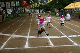 44e82129.jpg