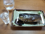 87759f9e.jpg