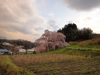 DSC02830
