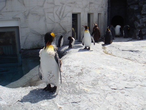 DSC01953