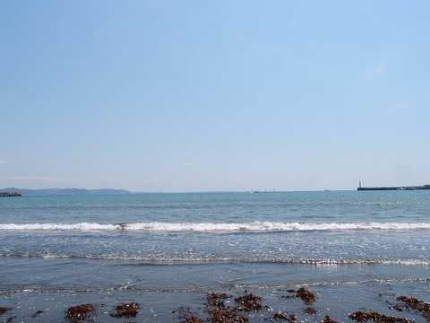 P4214019