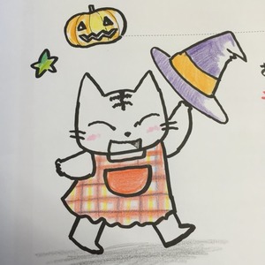 今日のねこ